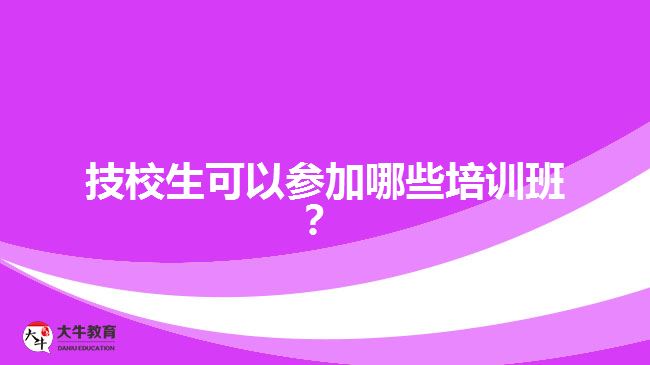 技校生可以參加哪些培訓(xùn)班？