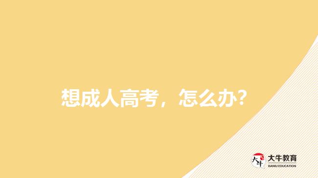 想成人高考，怎么辦？
