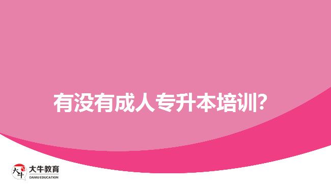 有沒(méi)有成人專升本培訓(xùn)？