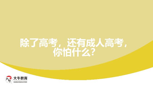 除了高考，還有成人高考，你怕什么？