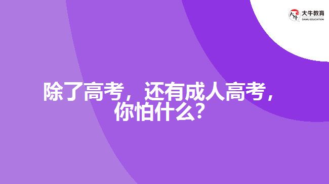 除了高考，還有成人高考，你怕什么？