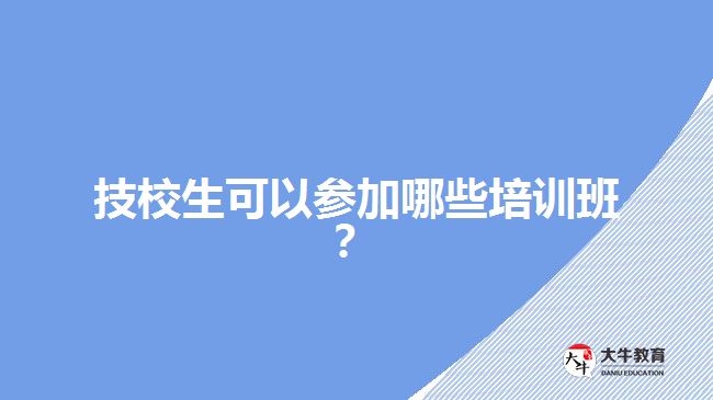 技校生可以參加哪些培訓(xùn)班？