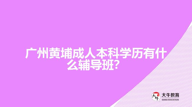 廣州黃埔成人本科學(xué)歷有什么輔導(dǎo)班？