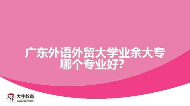 廣東外語外貿(mào)大學(xué)業(yè)余大專哪個(gè)專業(yè)好？