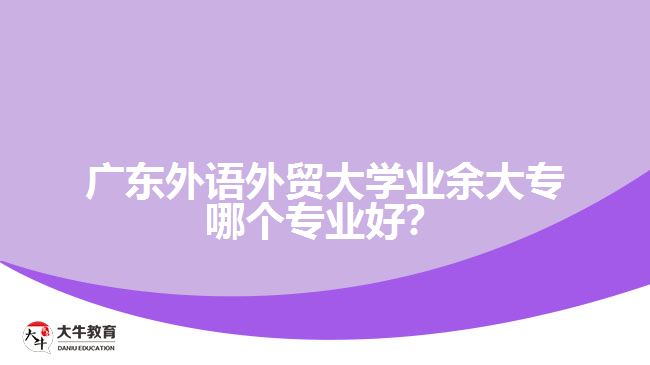 廣東外語外貿(mào)大學業(yè)余大專哪個專業(yè)好？
