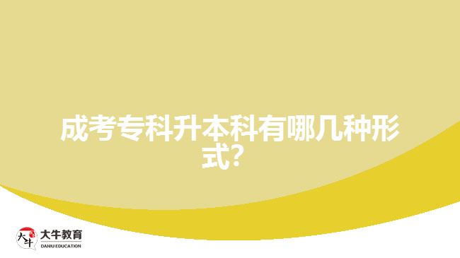 成人?？粕究朴心膸追N形式？