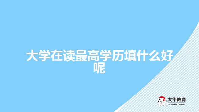 大學在讀最高學歷填什么好呢