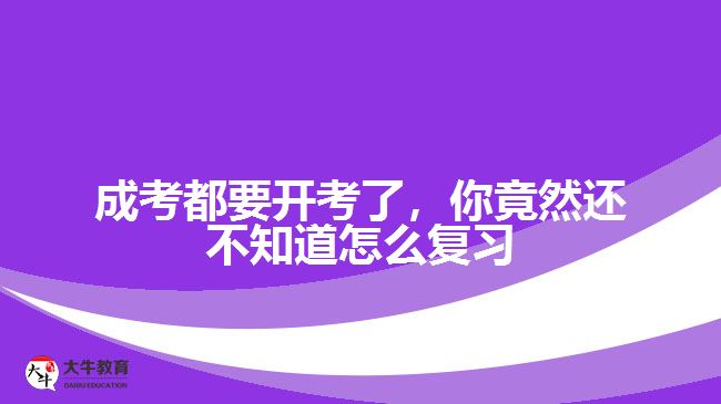 成考都要開考了，你竟然還不知道怎么復(fù)習(xí)