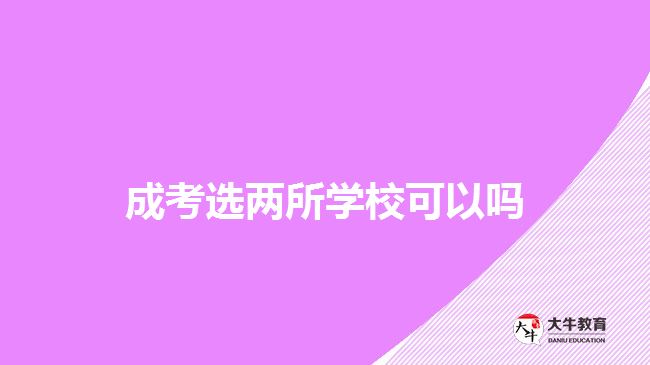 成考選兩所學校可以嗎