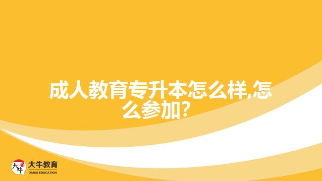 成人教育專升本怎么樣,怎么參加？