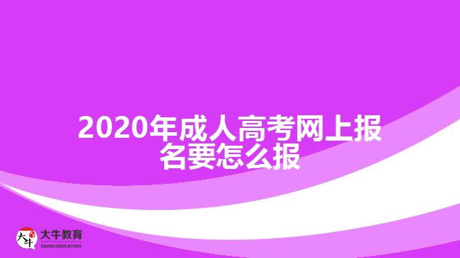 ，2020年成人高考網(wǎng)上報名要怎么報