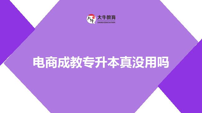 電商成教專(zhuān)升本真沒(méi)用嗎