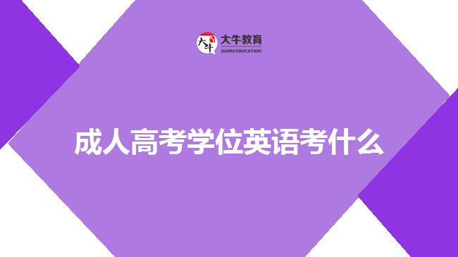 成人高考學(xué)位英語考什么