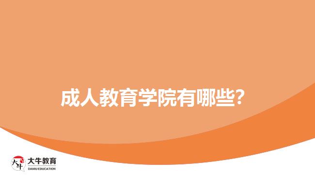 成人教育學(xué)院有哪些？