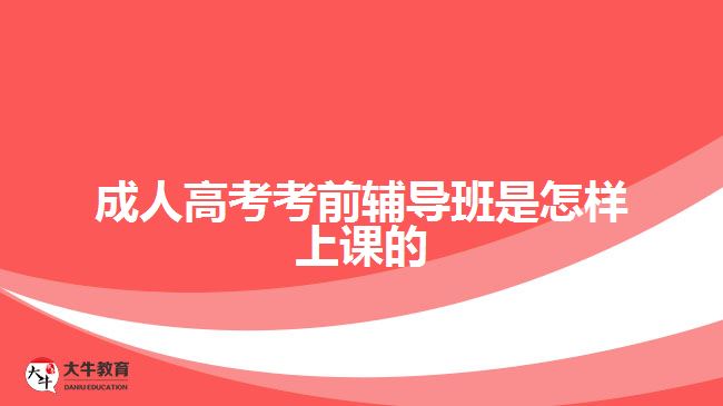 成人高考考前輔導班是怎樣上課的