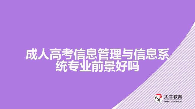 成人高考信息管理與信息系統(tǒng)專(zhuān)業(yè)前景好嗎