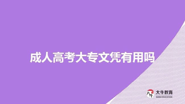 成人高考大專(zhuān)文憑有用嗎