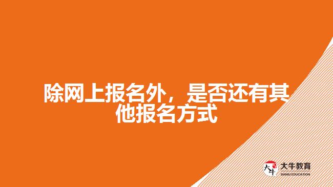 除網(wǎng)上報名外，是否還有其他報名方式