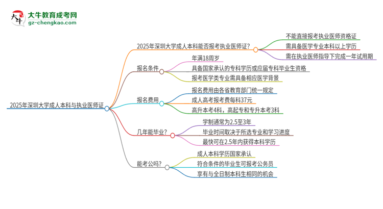 2025年深圳大學(xué)成人本科可否報(bào)考執(zhí)業(yè)醫(yī)師資格證？思維導(dǎo)圖