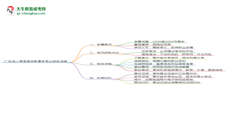 廣東成人高考醫(yī)學影像學專業(yè)2025年報名流程思維導(dǎo)圖