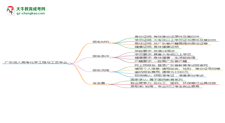 廣東2025年成人高考化學(xué)工程與工藝專業(yè)學(xué)歷能考公嗎？思維導(dǎo)圖