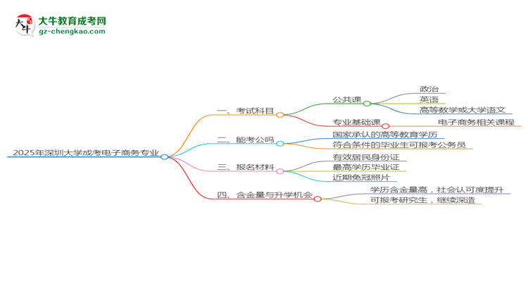 2025年深圳大學(xué)成考電子商務(wù)專業(yè)入學(xué)考試科目有哪些？思維導(dǎo)圖