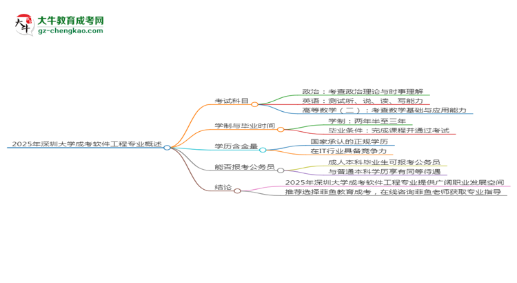 2025年深圳大學(xué)成考軟件工程專業(yè)入學(xué)考試科目有哪些？思維導(dǎo)圖
