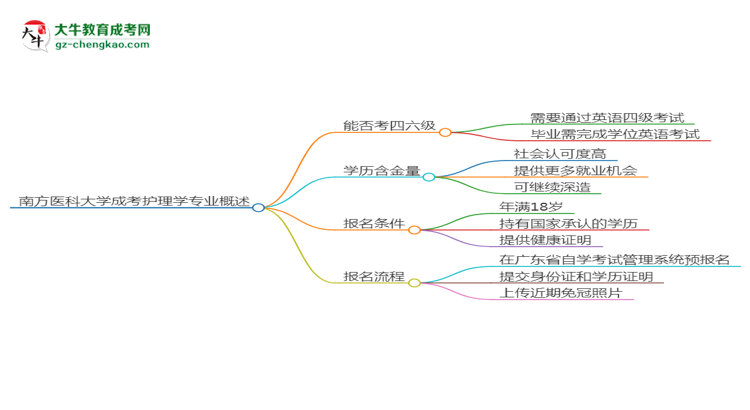南方醫(yī)科大學(xué)2025年成考護(hù)理學(xué)專業(yè)生可不可以考四六級(jí)？思維導(dǎo)圖