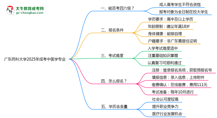 廣東藥科大學(xué)2025年成考中醫(yī)學(xué)專業(yè)生可不可以考四六級(jí)？思維導(dǎo)圖