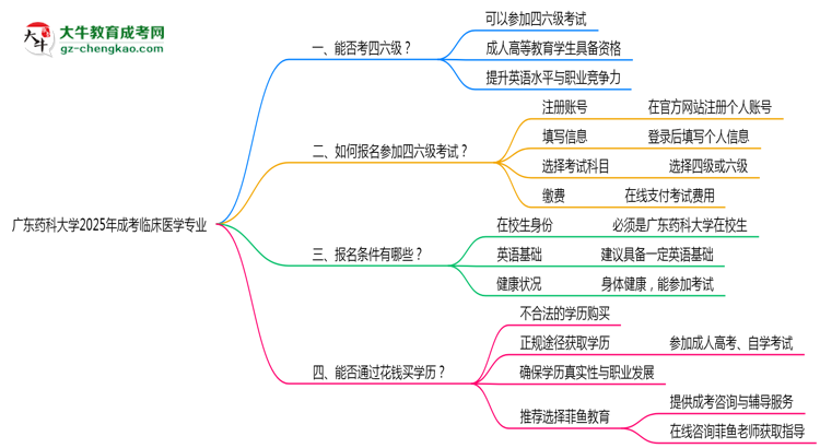 廣東藥科大學(xué)2025年成考臨床醫(yī)學(xué)專業(yè)生可不可以考四六級(jí)？思維導(dǎo)圖
