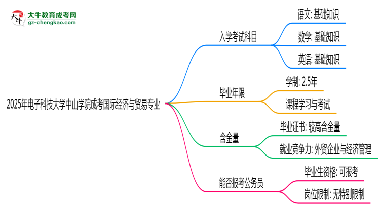 2025年電子科技大學(xué)中山學(xué)院成考國(guó)際經(jīng)濟(jì)與貿(mào)易專(zhuān)業(yè)入學(xué)考試科目有哪些？思維導(dǎo)圖
