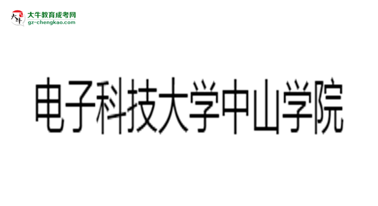 電子科技大學中山學院2025年成考財務管理專業(yè)生可不可以考四六級？思維導圖