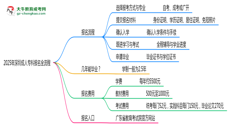 3分鐘讀懂：2025深圳成人?？票究茍竺鞒趟季S導圖