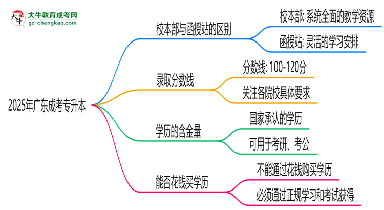 2025年報廣東成考專升本選校本部or函授站？區(qū)別解析思維導(dǎo)圖