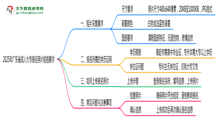 2025年廣東成人大專報名照片規(guī)格最新要求思維導圖