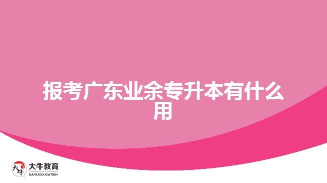 報(bào)考廣東業(yè)余專(zhuān)升本有什么用