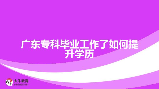 廣東?？飘厴I(yè)工作了如何提升學(xué)歷
