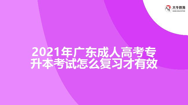 2021年廣東成人高考專升本考試怎么復(fù)習才有效