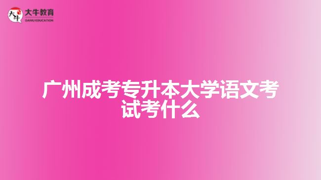 廣州成考專(zhuān)升本大學(xué)語(yǔ)文考試考什么