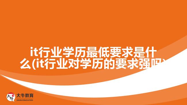 it行業(yè)學(xué)歷最低要求是什么(it行業(yè)對學(xué)歷的要求強嗎)