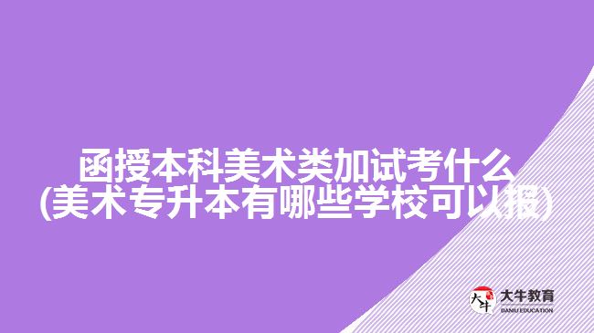 函授本科美術類加試考什么(美術專升本有哪些學?？梢詧?