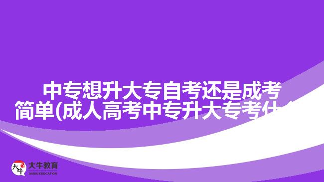 中專想升大專自考還是成考簡單(成人高考中專升大?？际裁?