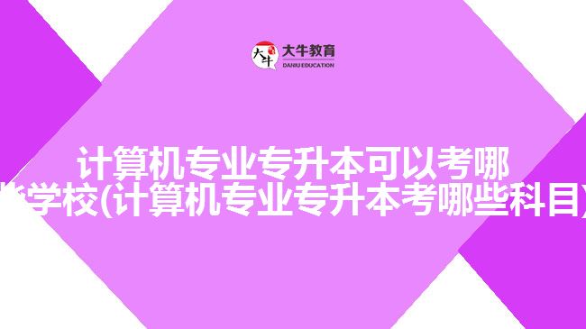 計(jì)算機(jī)專(zhuān)業(yè)專(zhuān)升本可以考哪些學(xué)校(計(jì)算機(jī)專(zhuān)業(yè)專(zhuān)升本考哪些科目)