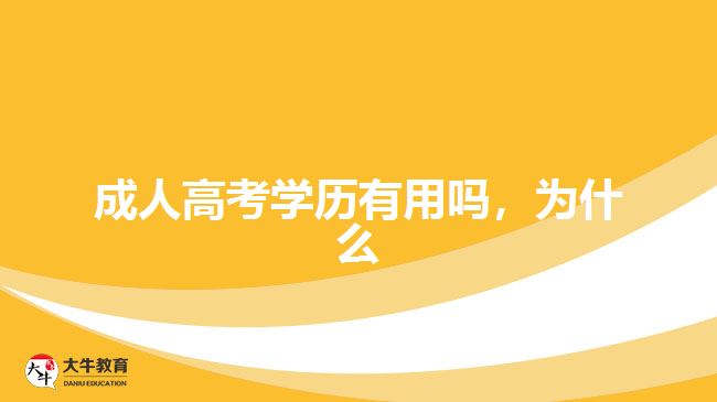 成人高考學(xué)歷有用嗎，為什么