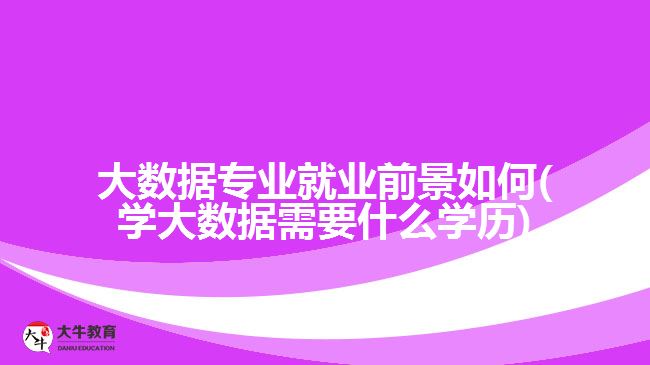 大數據專業(yè)就業(yè)前景如何(學大數據需要什么學歷)
