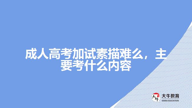 成人高考加試素描難么，主要考什么內(nèi)容