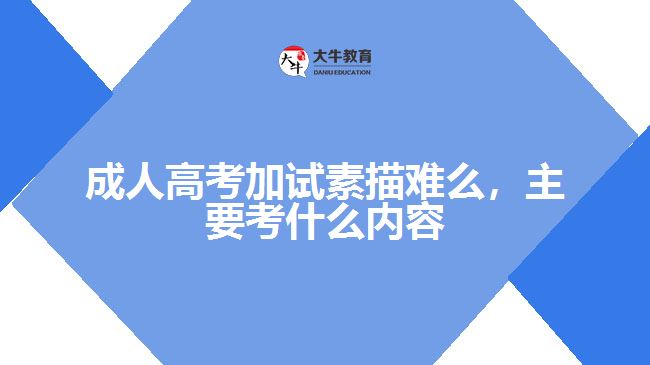 成人高考加試素描難么，主要考什么內(nèi)容