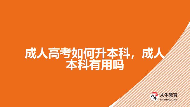 成人高考如何升本科，成人本科有用嗎