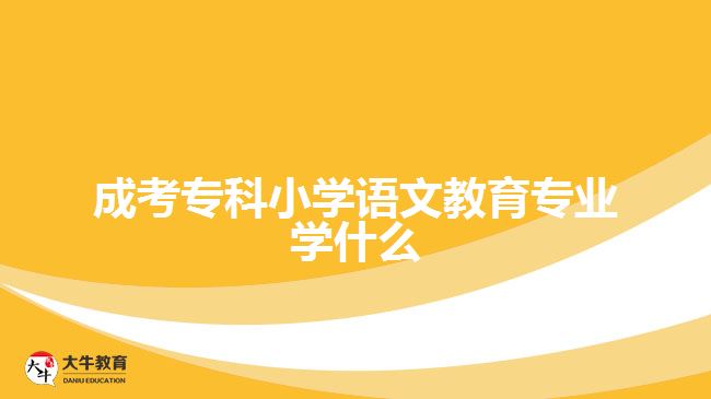 成考?？菩W語文教育專業(yè)學什么