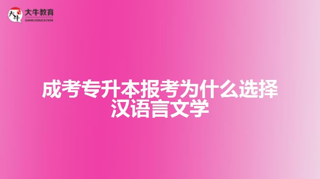 成考專(zhuān)升本報(bào)考選擇漢語(yǔ)言文學(xué)